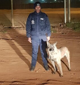 How K9 Patrol Units Help Prevent Crime On-Site